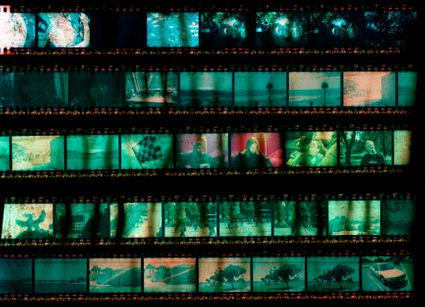 Film, Cinema, & Video Studies